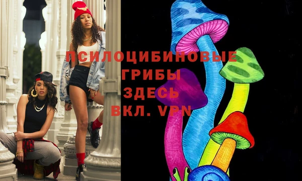 2c-b Арсеньев